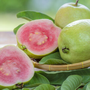 Guava