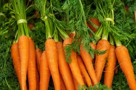 Carrot - Image 3