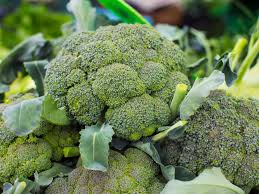 Broccoli - Image 3