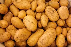 Potato - Image 2