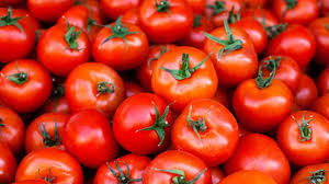 Tomato - Image 2