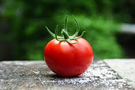 Tomato - Image 3