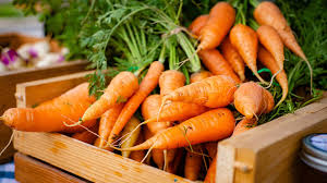 Carrot - Image 2
