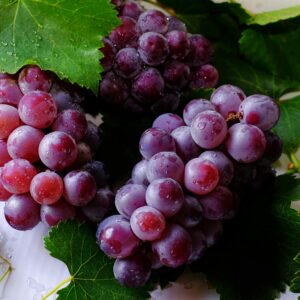 Grapes